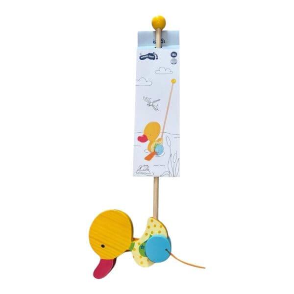 jouet canard à pousser bébé