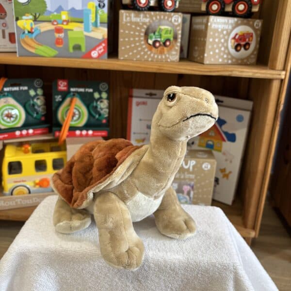 peluche tortue